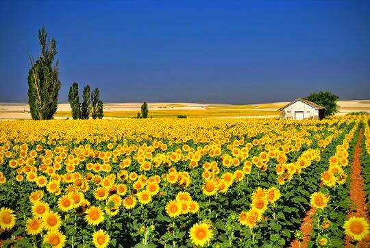 Seberapa Kenalkah Agan Dengan Diri Agan Sendiri ???