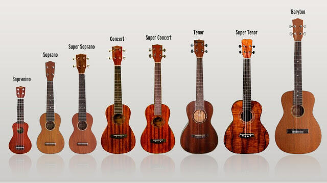 JENIS KAYU DAN GITAR UNTUK KARAKTER SUARANYA