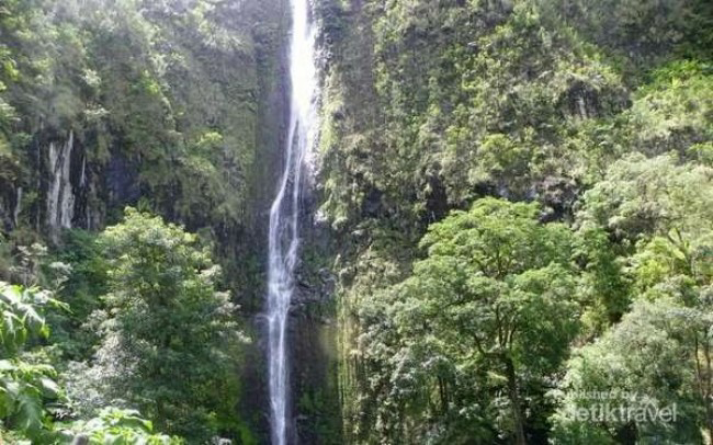 Jatuh saat Selfie, Pelajar SMA Jakarta Tewas Tenggelam di Curug Ngumpet Bogor