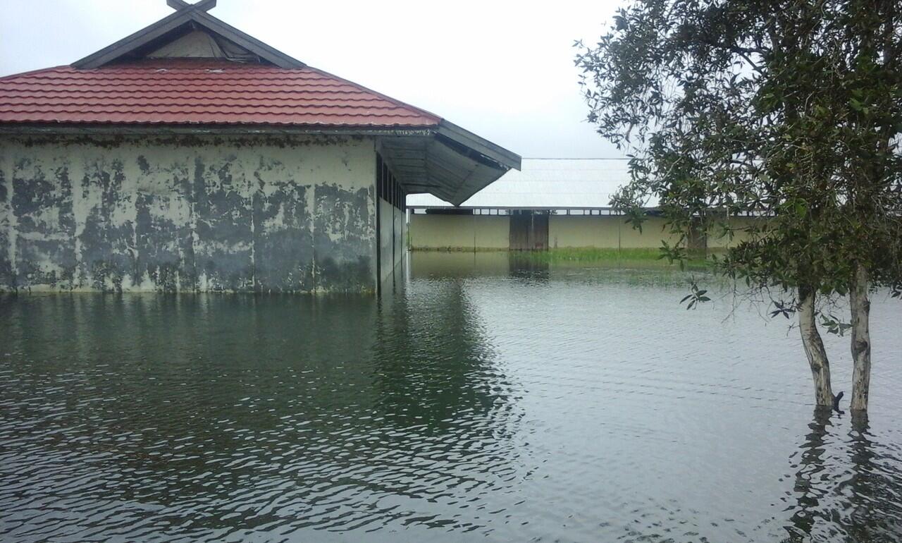 apa pendapat kalian jika lokasi transmigrasi seperti ini