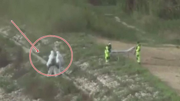 MAKHLUK MISTERIUS SEPANJANG 2015