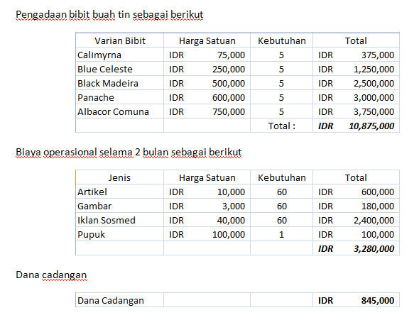 Membutuhkan investor untuk pengembangan usaha budidaya pohon TIN / buah TIN