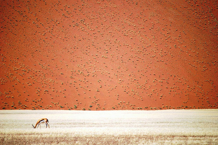 Foto2 Keren Peserta National Geographic Traveler Photo Contest 2016