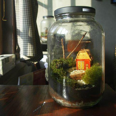 Apa itu Terrarium?? Cekidot!!