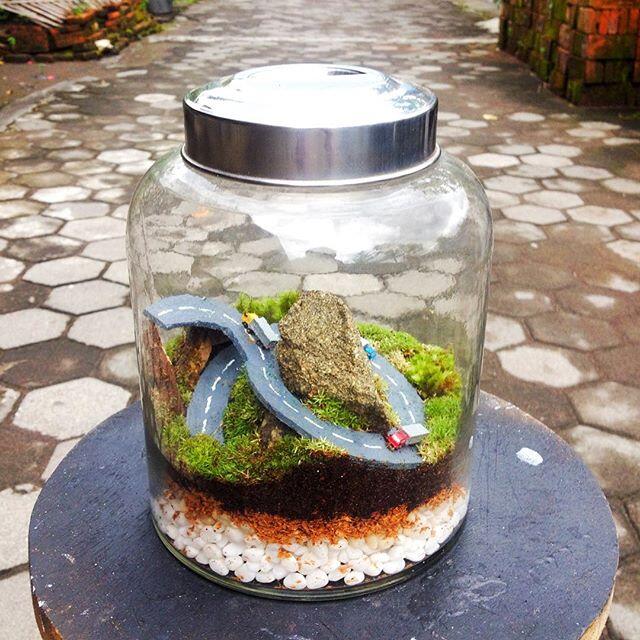 Apa itu Terrarium?? Cekidot!!