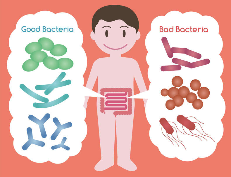 Mengenal Perbedaan Infeksi Virus dan Bakteri
