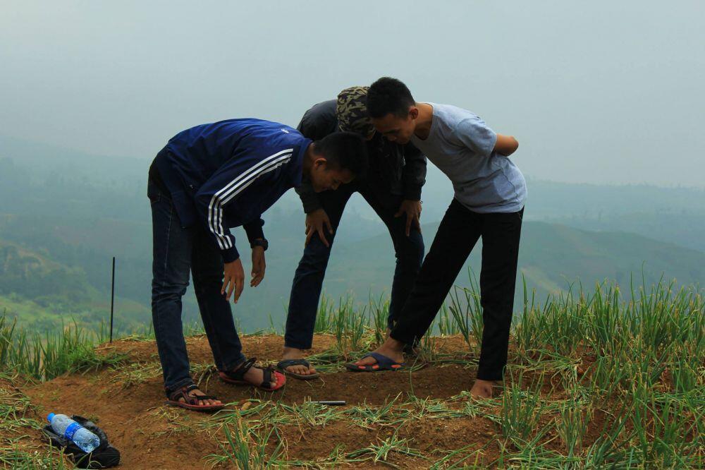 Alay berulah lagi, kali ini merusak kawasan sawah terasering &amp; bikin gagal panen