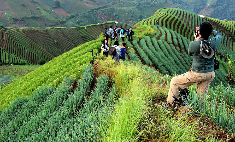 Alay berulah lagi, kali ini merusak kawasan sawah terasering &amp; bikin gagal panen