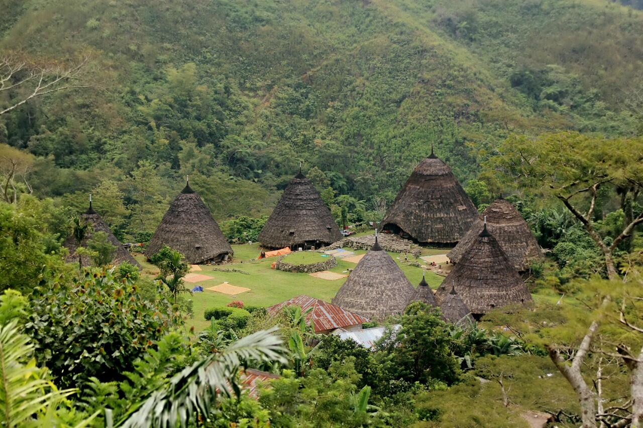 kata siapa Flores kering dan gersang ,Bung, Inilah Flores! 