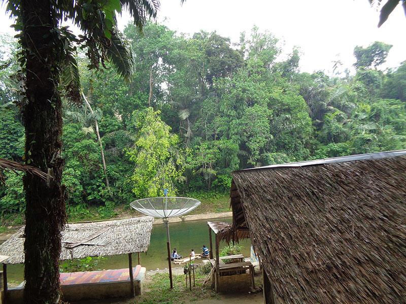 Bukit Lawang (sungai dan primata)