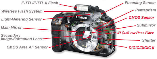 Service Lensa dan Kamera SLR CANON Murah Berkualitas