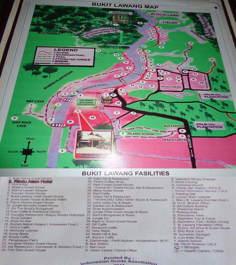 Bukit Lawang (sungai dan primata)
