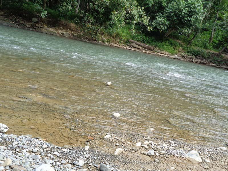 Bukit Lawang (sungai dan primata)