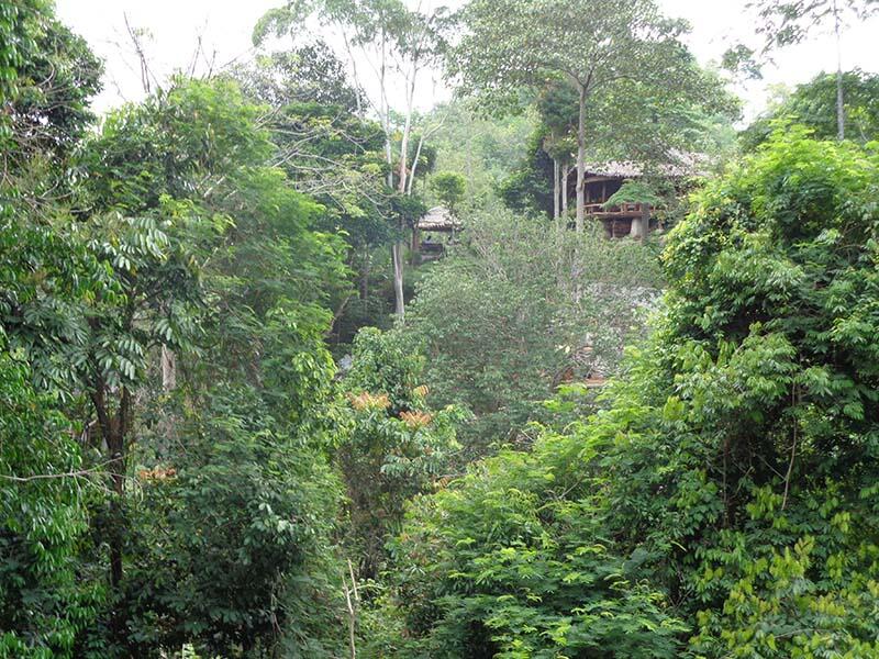 Bukit Lawang (sungai dan primata)
