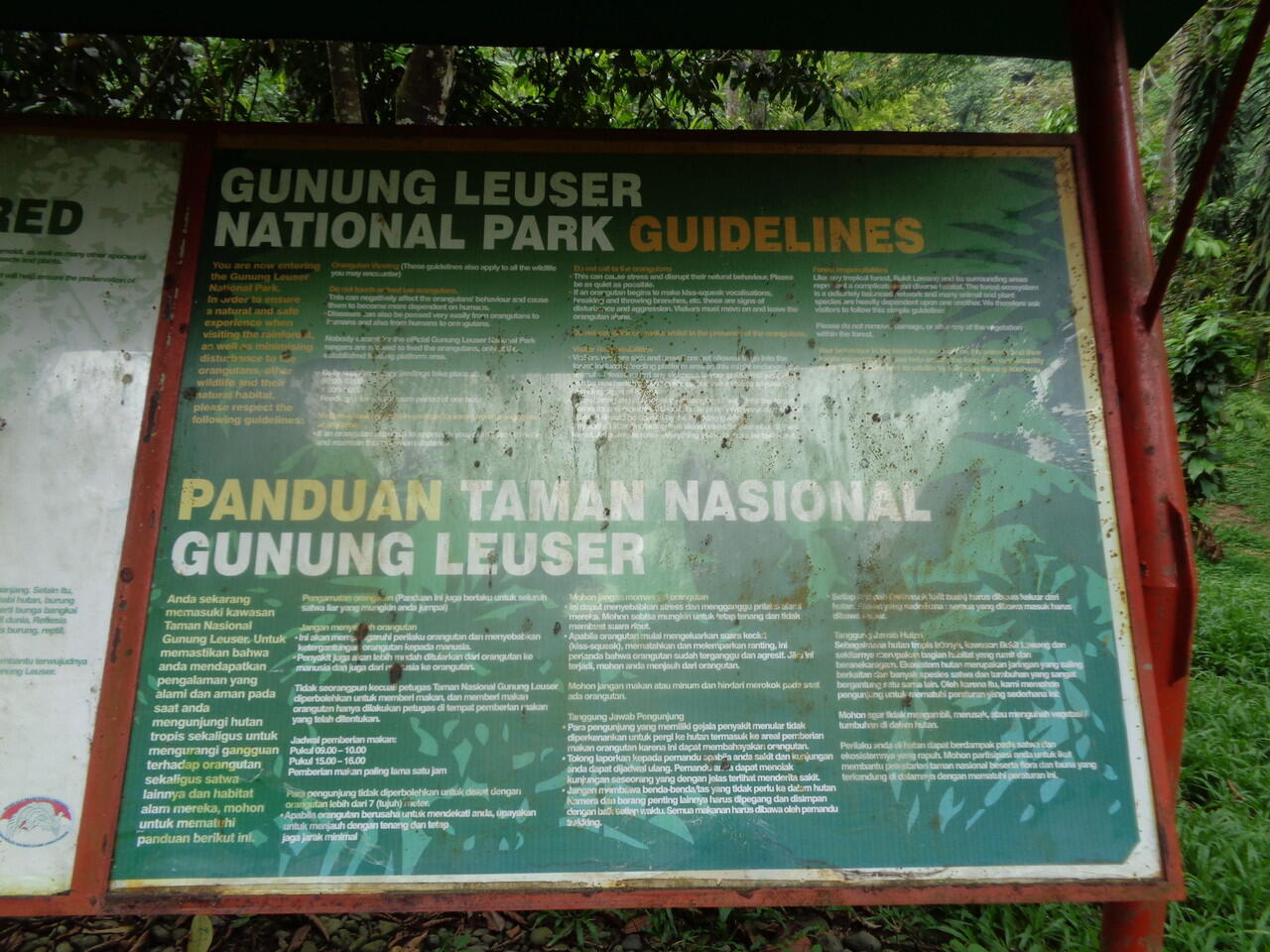 Bukit Lawang (sungai dan primata)