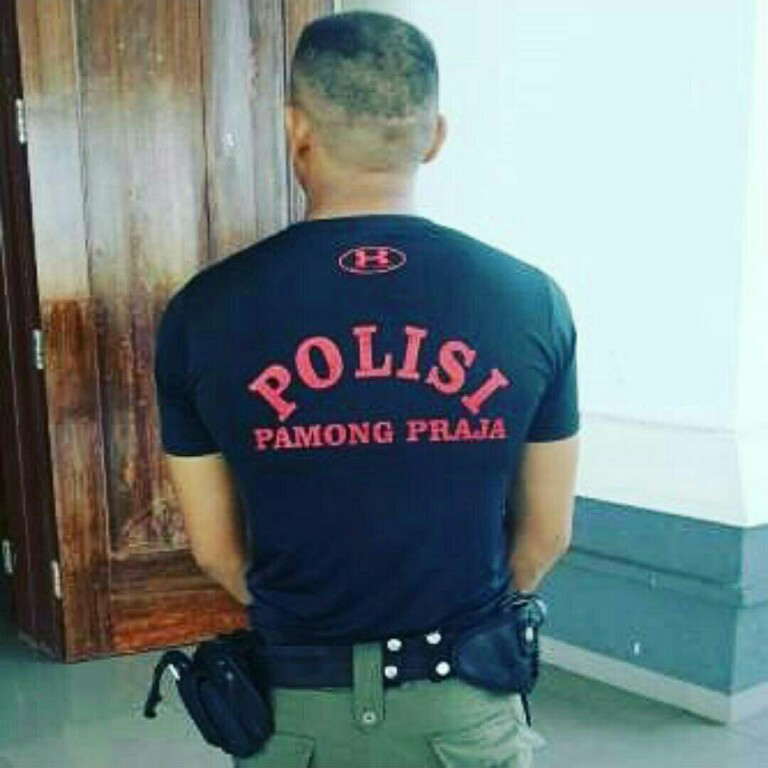 Haruskah Satpol Ini Berseragam Ala Militer / Kepolisian ?