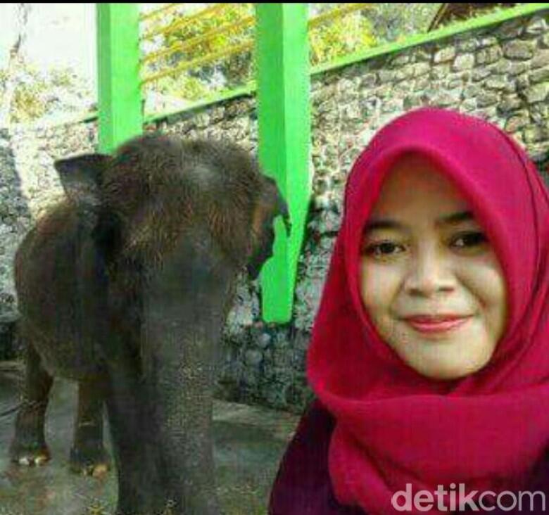 Selfie dan Keakraban Dokter Via dengan Gajah yang Berujung Maut