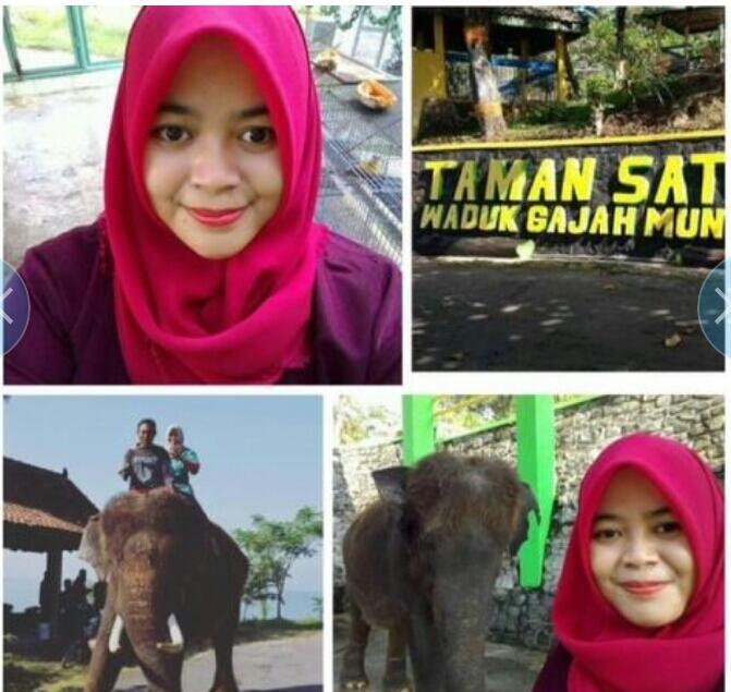 Korban selfie : Gajah Serang Dokter Hewan di Wonogiri hingga tewas 