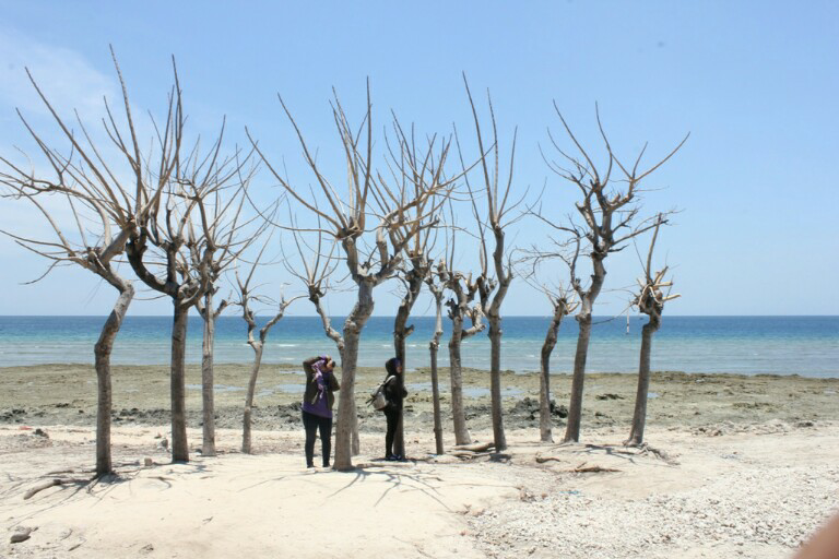 Pulau Tersembunyi | Probolinggo
