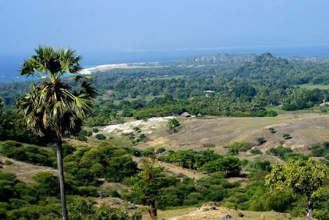 Pulau Tersembunyi | Probolinggo