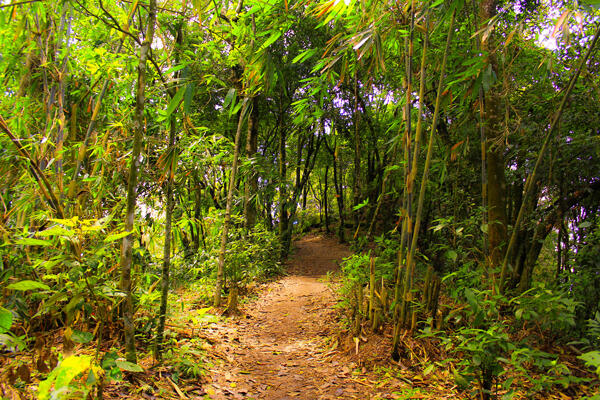 Gunung Lembu Purwakarta. Pemandangan Luar Biasa dari Puncak Gunung.