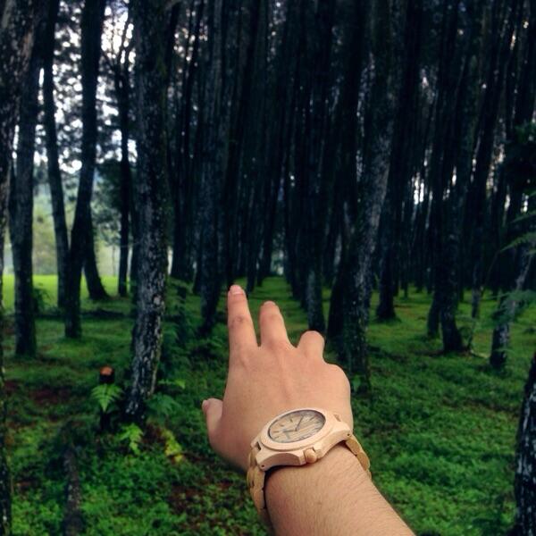 Jual WTS Jam Tangan Kayu Woodstone Wood Watch Ori  KASKUS