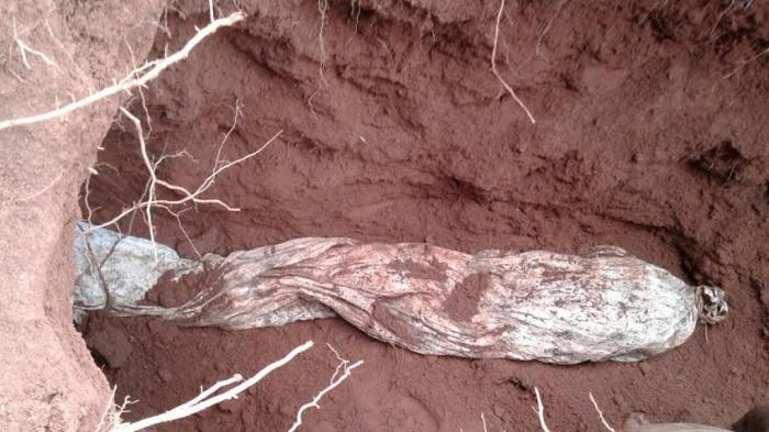 Jasad Mak Erot Masih Utuh Terkubur Puluhan Tahun, Sesepuh Kampung Lemas