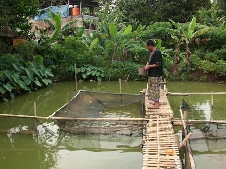 Surat Terbuka Untuk Yang Suka Membuang Bangkai Tikus Dijalanan