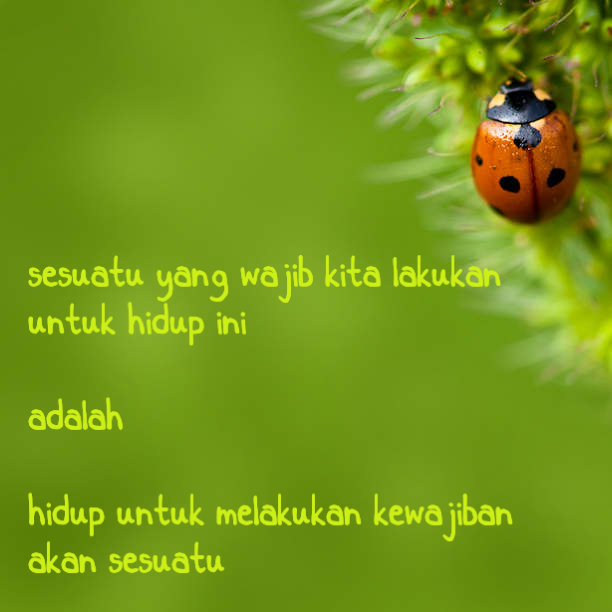 (GAMBAR) QUOTES KARYA SENDIRI