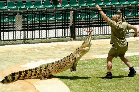 Yuk Mengenal Para Herpetologist Populer Di Dunia