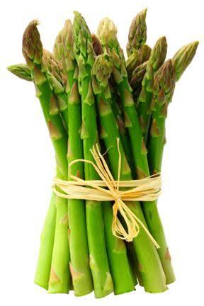 Bisnis Berkebun Asparagus
