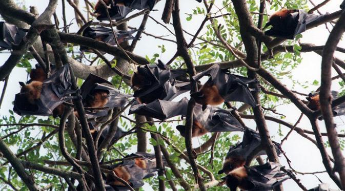 6 Tradisi pengobatan yang aneh dan menyeramkan di dunia