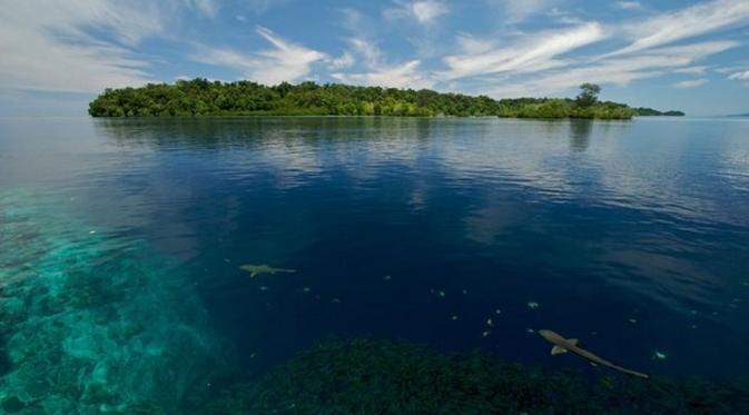 5 Pulau Tenggelam, Bukti Perubahan Iklim Bukan Omong Kosong