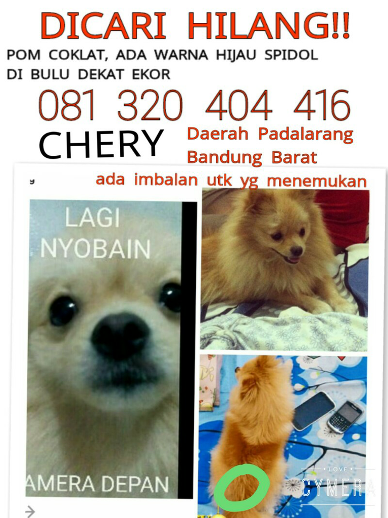 I Miss U, My lovely Chery HILANG DI PADALARANG