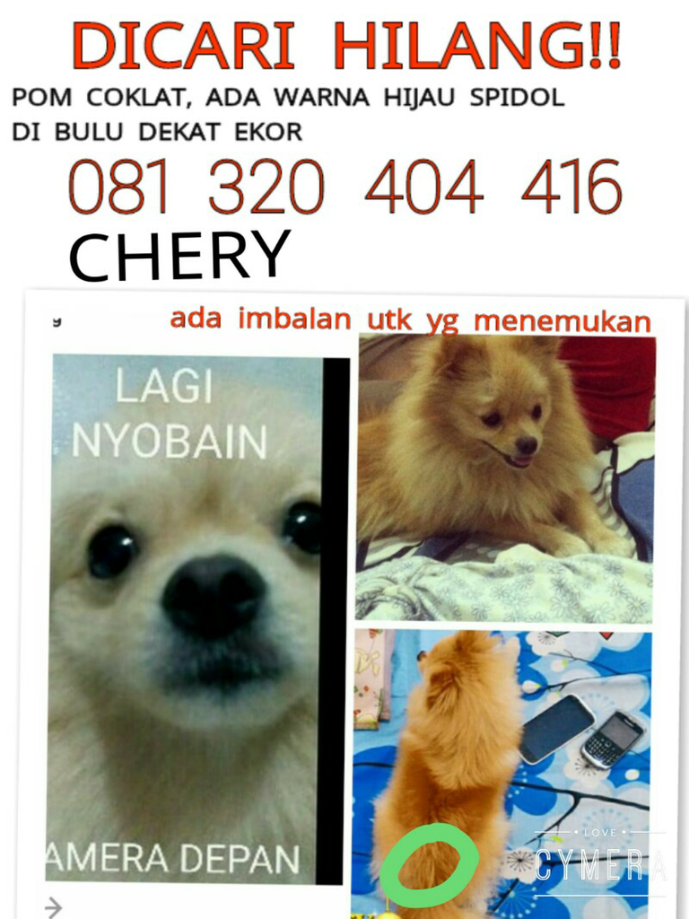 I Miss U, My lovely Chery HILANG DI PADALARANG