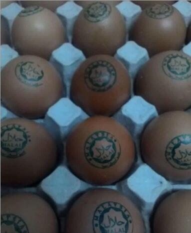 Foto Telur Berlabel Halal Beredar di Medsos, Netter Langsung Heboh 