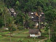 Kabut Tipis di Negeri Para Dewa