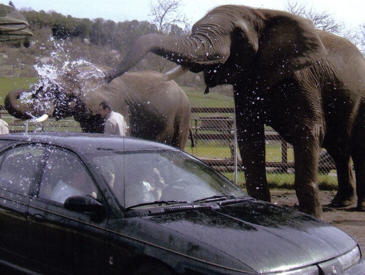 CUCI MOBIL &quot;GAJAH&quot;