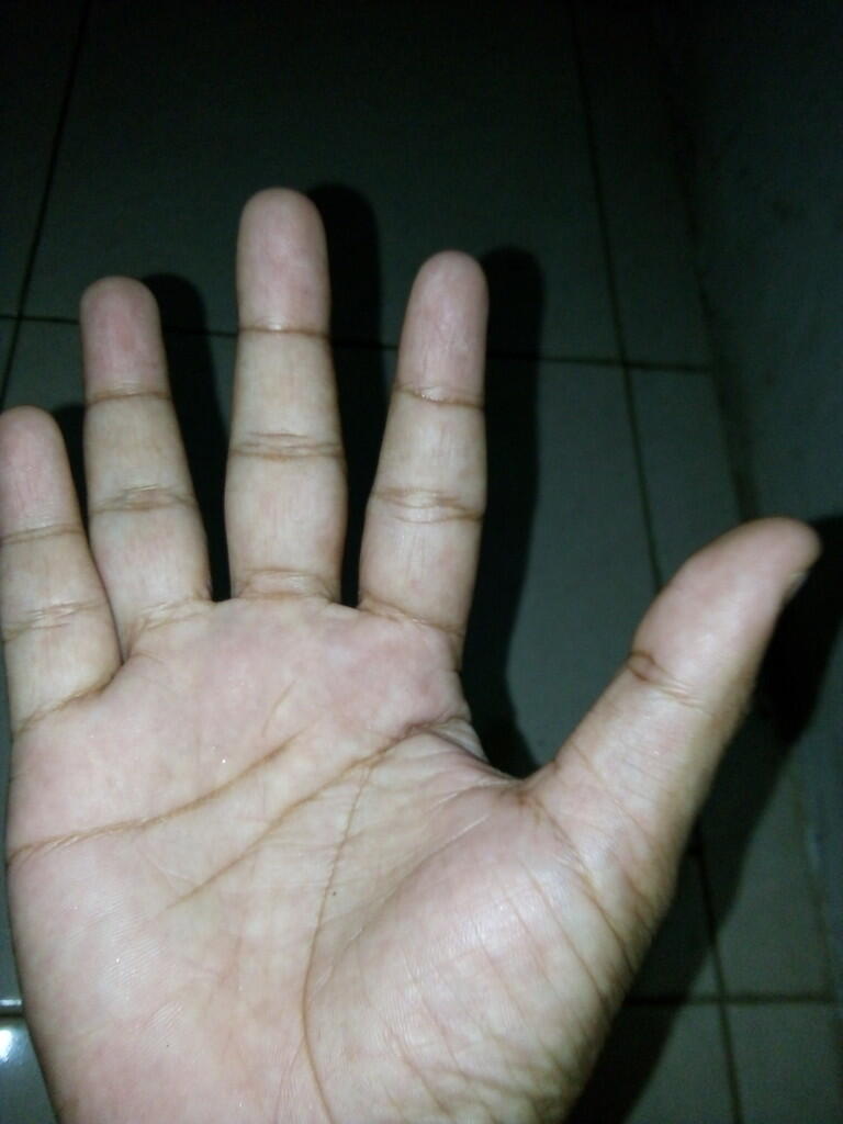 gratis palm reading baca ramalab garis tangan