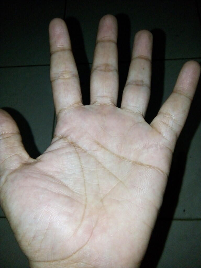 gratis palm reading baca ramalab garis tangan