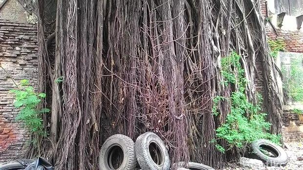 Cerita Warga Tentang Sosok Noni Belanda di Kasteel Batavia