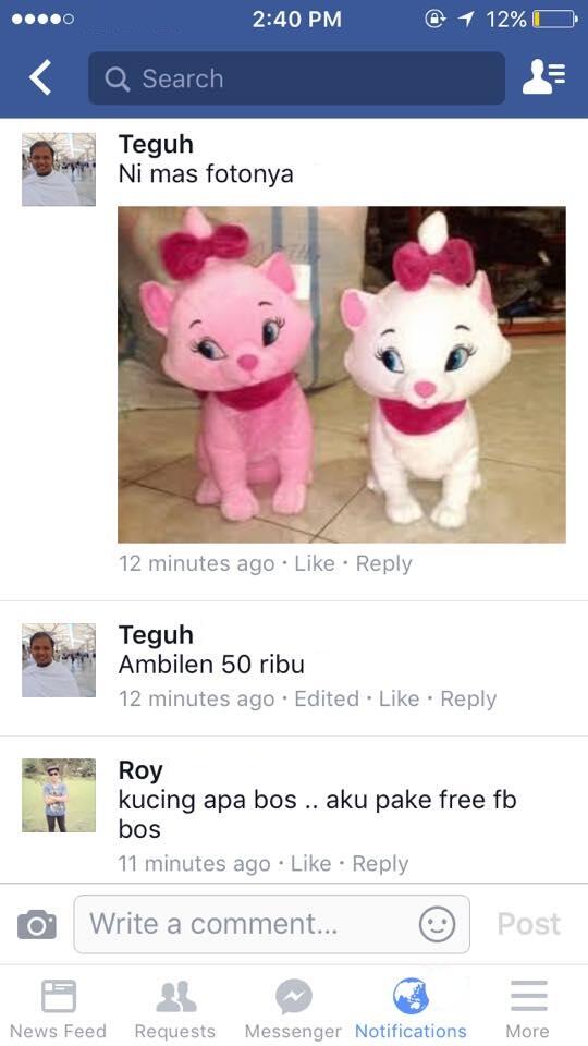 Ini Orang Mau Beli Kucing Persia Harga 50rb, Kali Aja Ada Yang Mau Bantu 