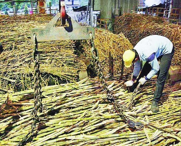 Mafia Gula Mempermainkan Harga Jual Gual Pasir