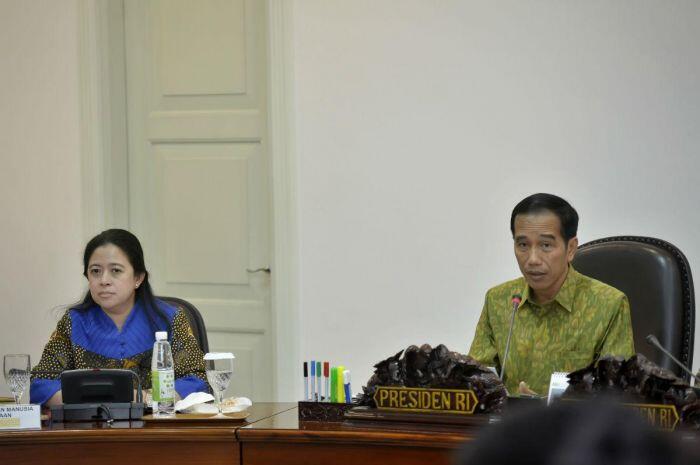 Presiden terbitkan Perppu kebiri, apa isinya?