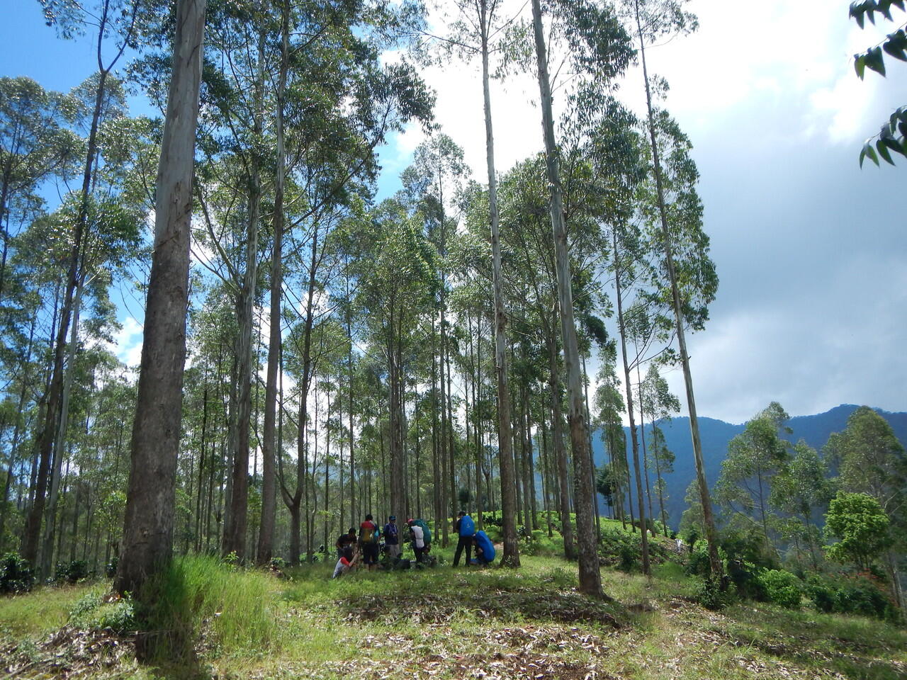 NIKMATNYA 'MENYEPI' DI GUNUNG KENDANG 2641 MDPL 