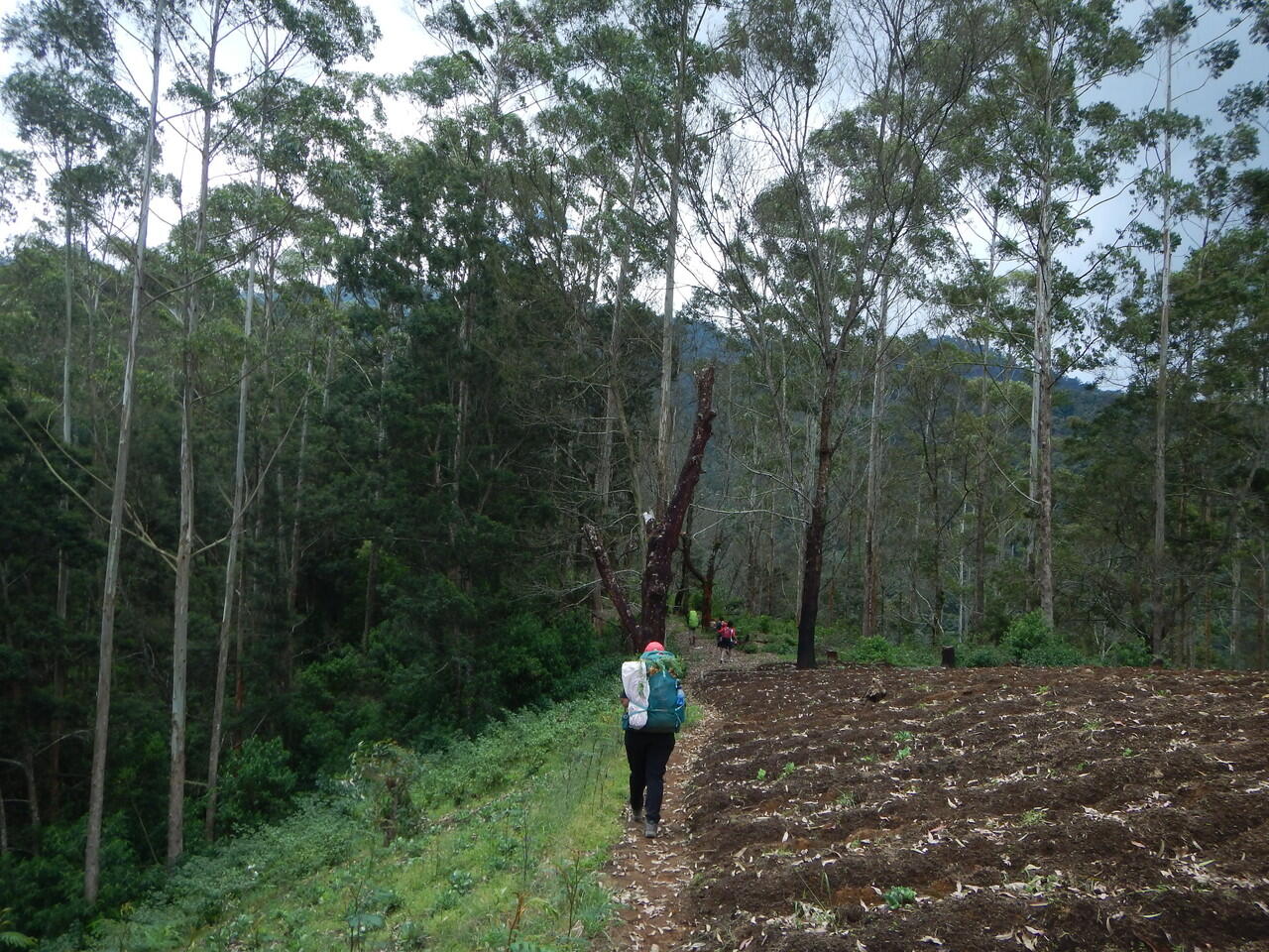 NIKMATNYA 'MENYEPI' DI GUNUNG KENDANG 2641 MDPL 