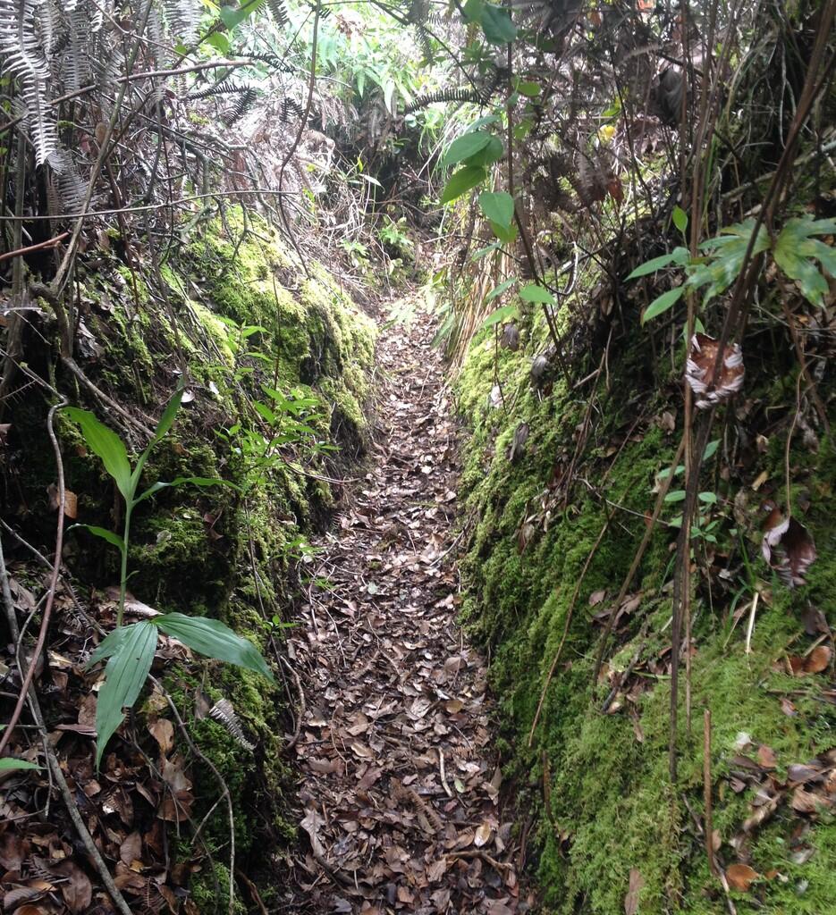 NIKMATNYA 'MENYEPI' DI GUNUNG KENDANG 2641 MDPL 