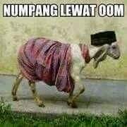 Kumpulan Gambar Kata-kata lucu (boso jowo)..sing wong jowo masuk..!