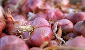 Cegah Impor, DPD Minta Pemerintah Serap Bawang dari Petani Lokal