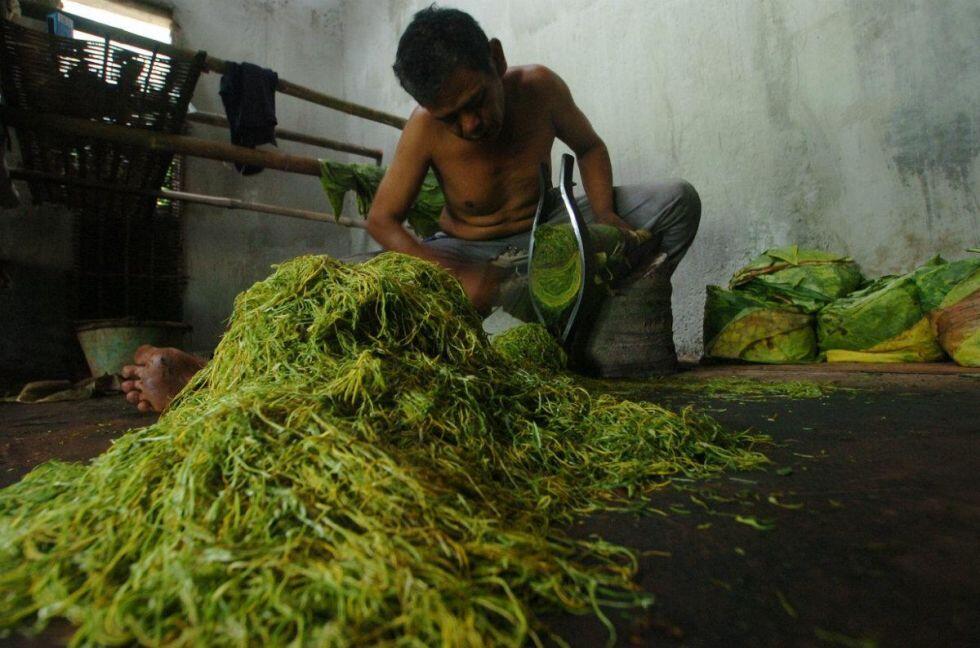 Tarung kampanye pro dan anti tembakau di linimasa